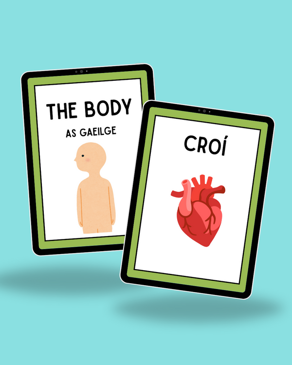 The Body - As Gaeilge | 60 Printable Flashcards + Activity Sheet